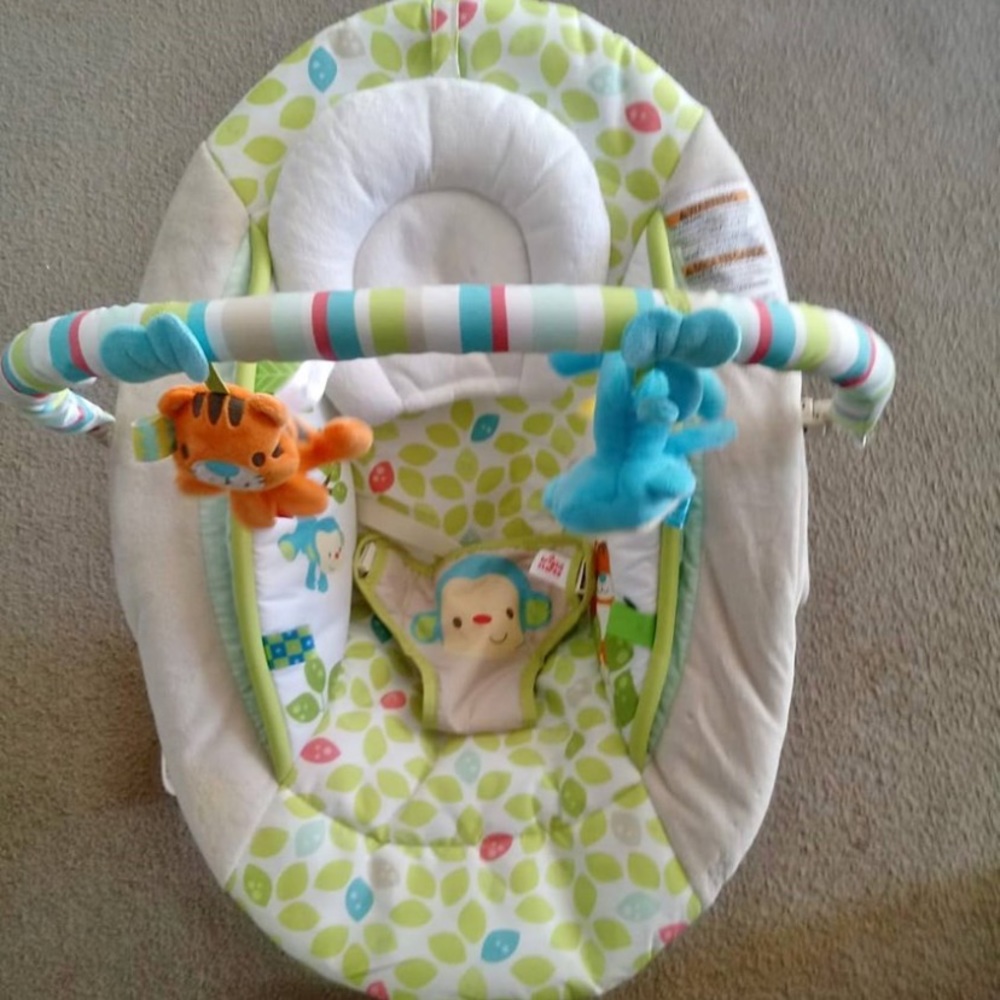 Baby bouncer